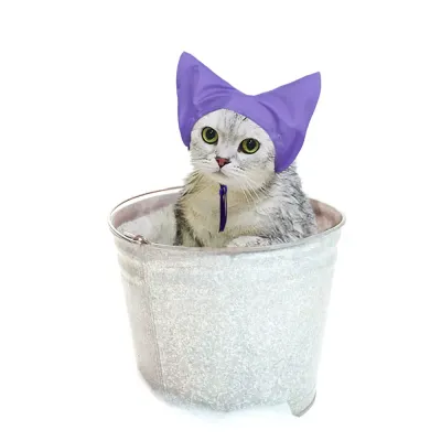 Cat Caps Cat Caps