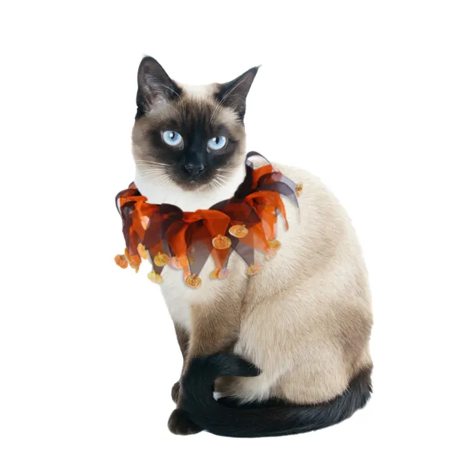 Christmas Halloween Dog Collar Christmas Halloween Dog Collar