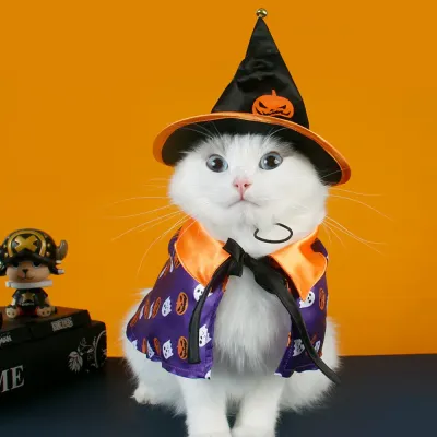 Halloween Cat Costume Set Halloween Cat Costume Set