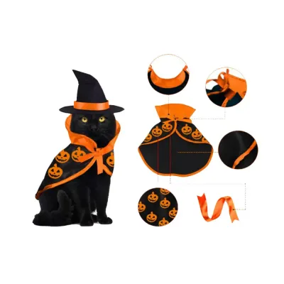 Pet Costume Set