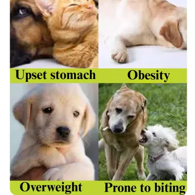 Silicone Pet Placemat for sale