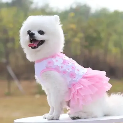 Ideal for special events including weddings, birthdays, pet shows, or boutique photo sessions.