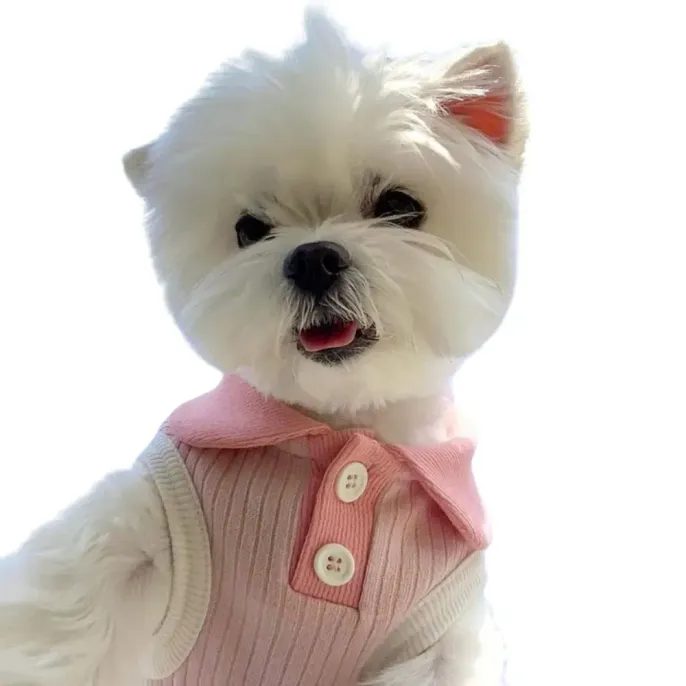 Designed with eye-catching macaron-inspired color blocking and a contrast collar to enhance visual appeal in seasonal collections.