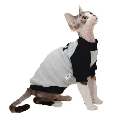 Easy-to-wear structure allows quick dressing, suitable for high-volume grooming services and specialty boutiques.