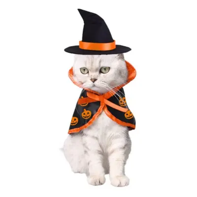 Cat Cloak Hat