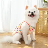 "Pet sunscreen clothing for outdoor activities – soft, easy-to-wear design for everyday comfort and sun protection."