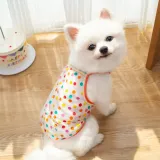 "Wholesale pet sunscreen shirts – ideal for retailers, grooming salons, and pet fashion boutiques."
