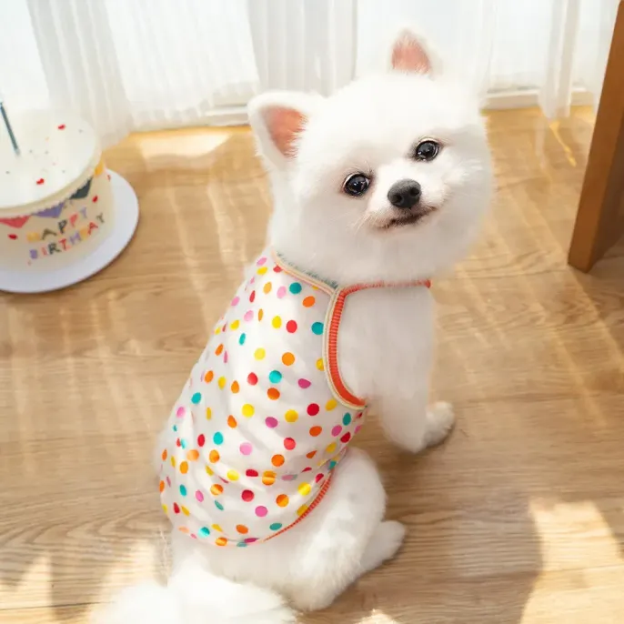 "Wholesale pet sunscreen shirts – ideal for retailers, grooming salons, and pet fashion boutiques."