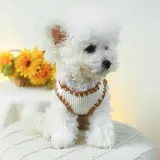 dog vest (4) "Must-have wholesale pet clothing option with a charming graphic style."