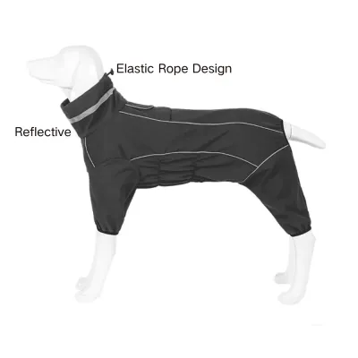 Elastic Rope Design dog suit