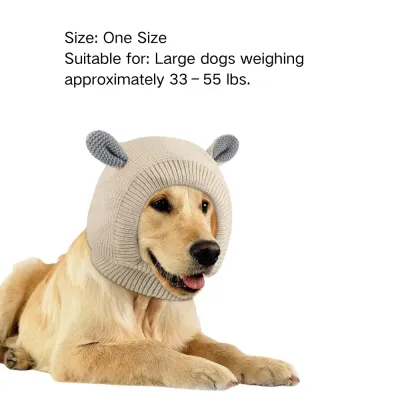 Pet Hat