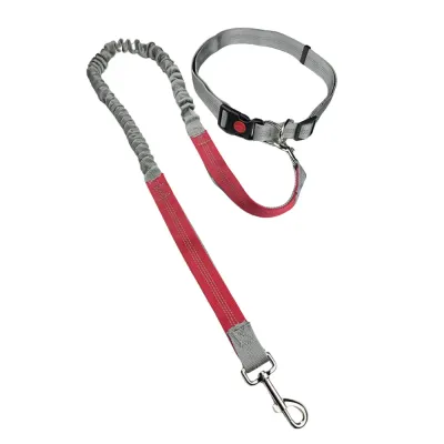 Hands Free Adjustable Dog Leash Belt for Outdoor Use Hands Free Adjustable Dog Leash Belt for Outdoor Use