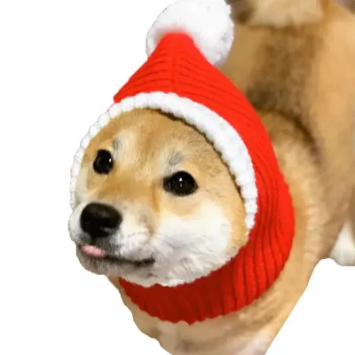 Dog Hat Red Warm