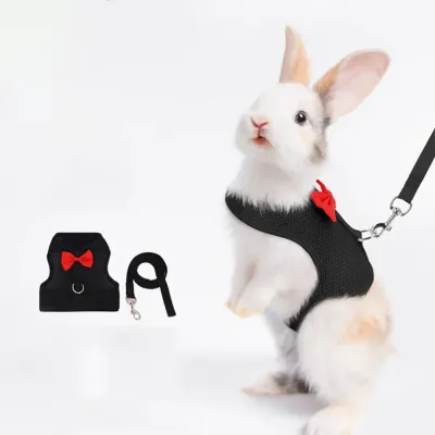 Rabbit Harness and Leash