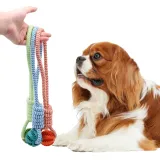 Interactive Feeding Toy Interactive Feeding Toy