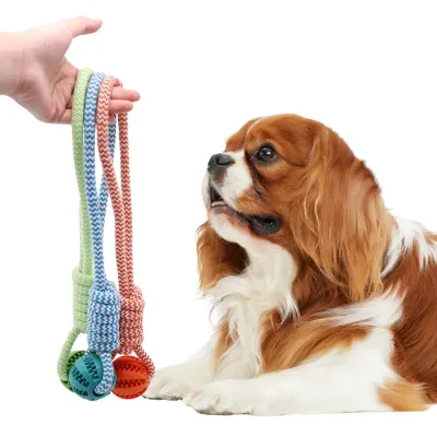 Interactive Feeding Toy Interactive Feeding Toy