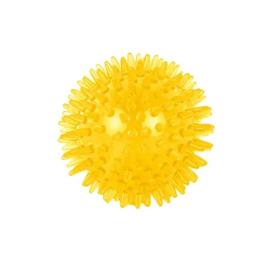 Yellow Dog Squeaky Ball