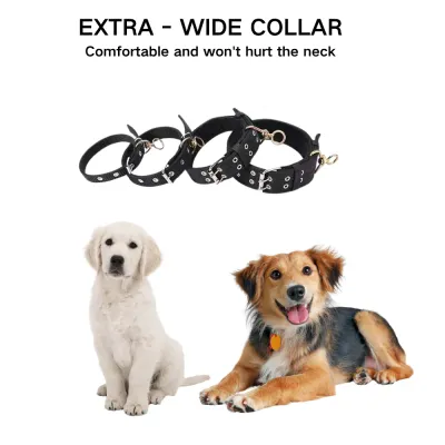 Collar Puppy Accessories wholesale