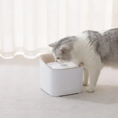 Dog Water Fountain-2