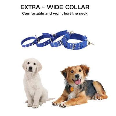 dog collar