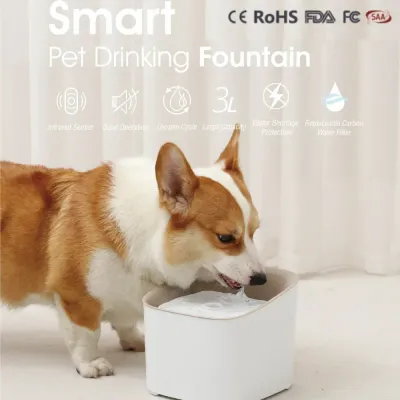 Dog Water Fountain-7