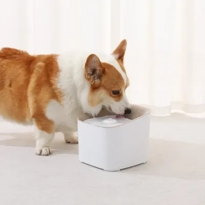 Dog Water Fountain-5