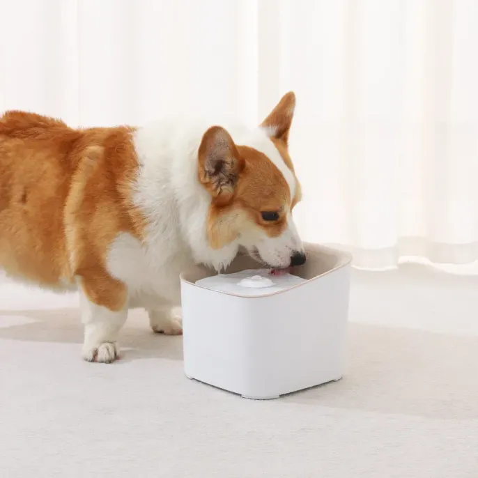 Dog Water Fountain-5 Dog Water Fountain-5