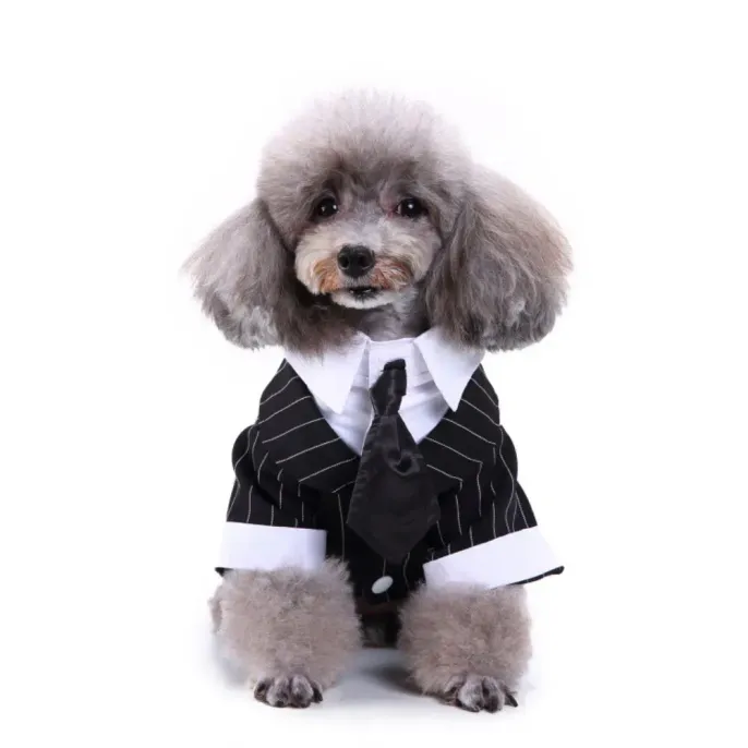 Pet Banquet Tuxedo for Dogs Striped Tailcoat Suit Pet Banquet Tuxedo for Dogs Striped Tailcoat Suit