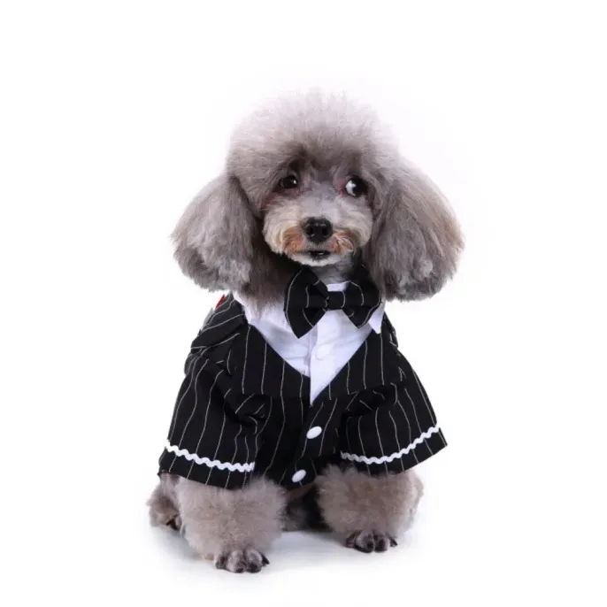Pet Banquet Tuxedo for Dogs Striped Tailcoat Suit Pet Banquet Tuxedo for Dogs Striped Tailcoat Suit