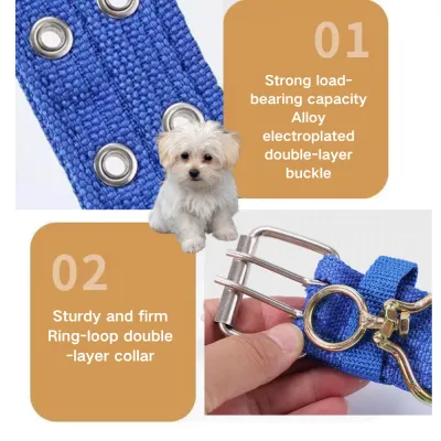 dog collar in bulk
