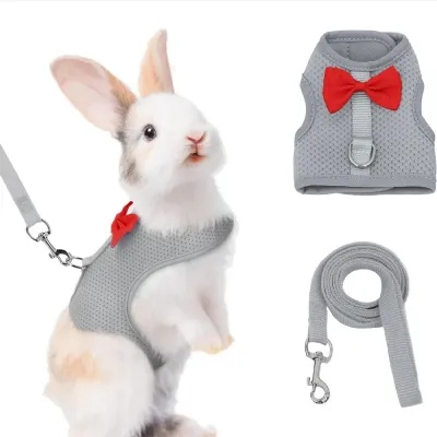 Grey Harness Leash Set