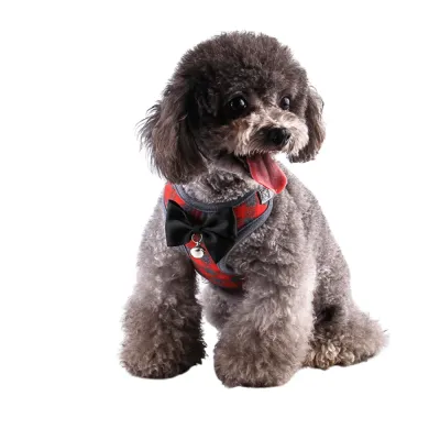 Dog Harness and Leash supplier
