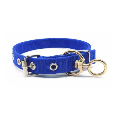 blue dog collar
