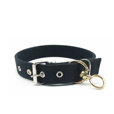 black dog collar