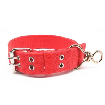 red dog collar