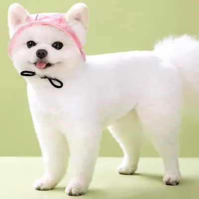 Dog Hats_7 Dog Hats_7