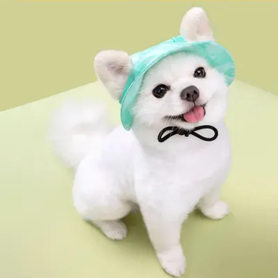 Dog Hats_6 Dog Hats_6