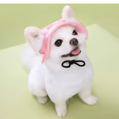 Dog Hats_5 Dog Hats_5