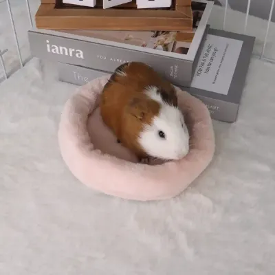 Soft Hamster Bed For Sale Soft Hamster Bed For Sale