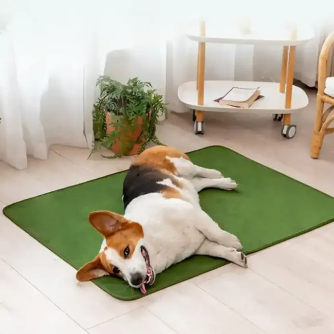 Pet Seat Cover ODM