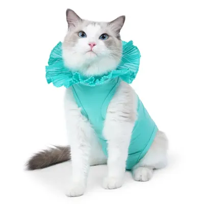 Sku Cat Suits