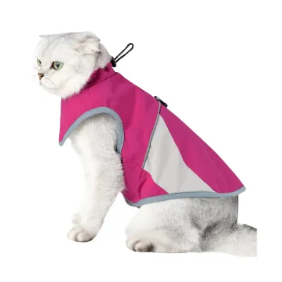 outdoor cat clothes