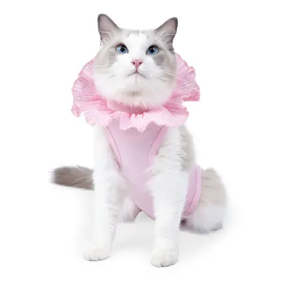 Sku Cat Suit