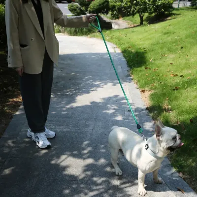 New pet leash New pet leash