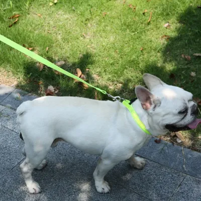 Pet Dog Leash Collar Set Dog Pet Dog Leash Collar Set Dog