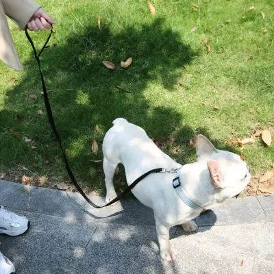 New Nylon Dog Leash