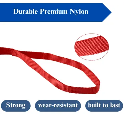 Dog Walking Leash