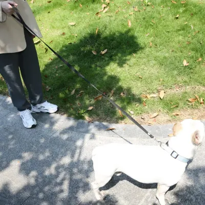 Pet Nylon Dog Leash Hot