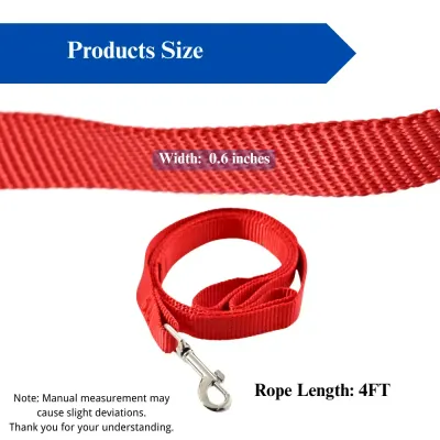 Modern Dog Leash Features