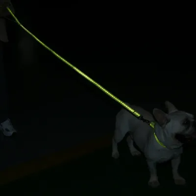 Dog Leash Collar Set Great Dog Leash Collar Set Great